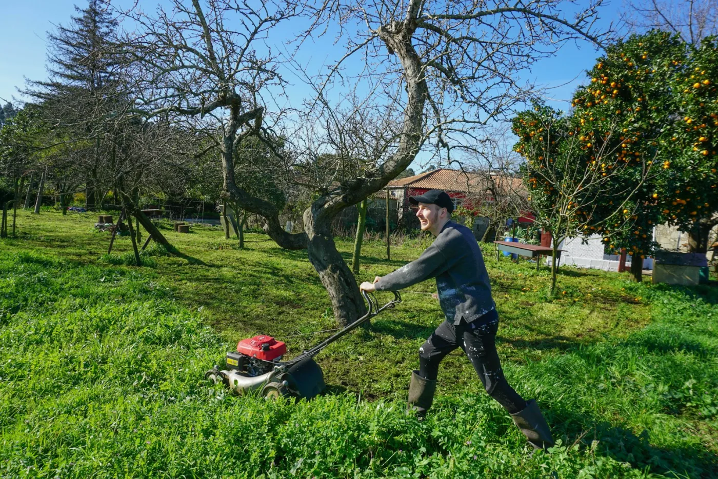 Lawn mower cutting grass — June is when cool-season mowing height steps up to 3.5-4 inches to shade the soil and reduce summer heat stress