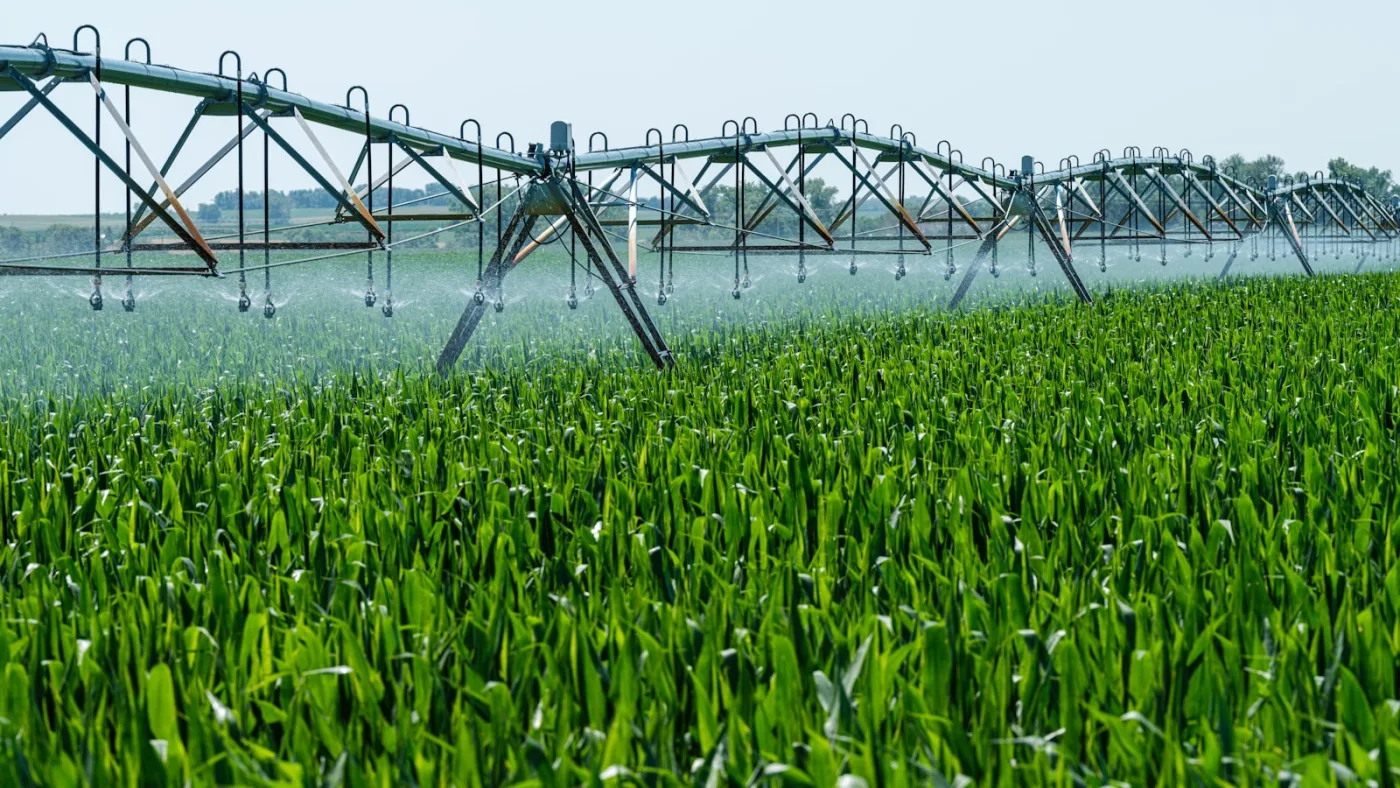 Sprinkler watering a summer lawn — July's deep, infrequent watering schedule trains roots to grow down where soil stays cooler and moister