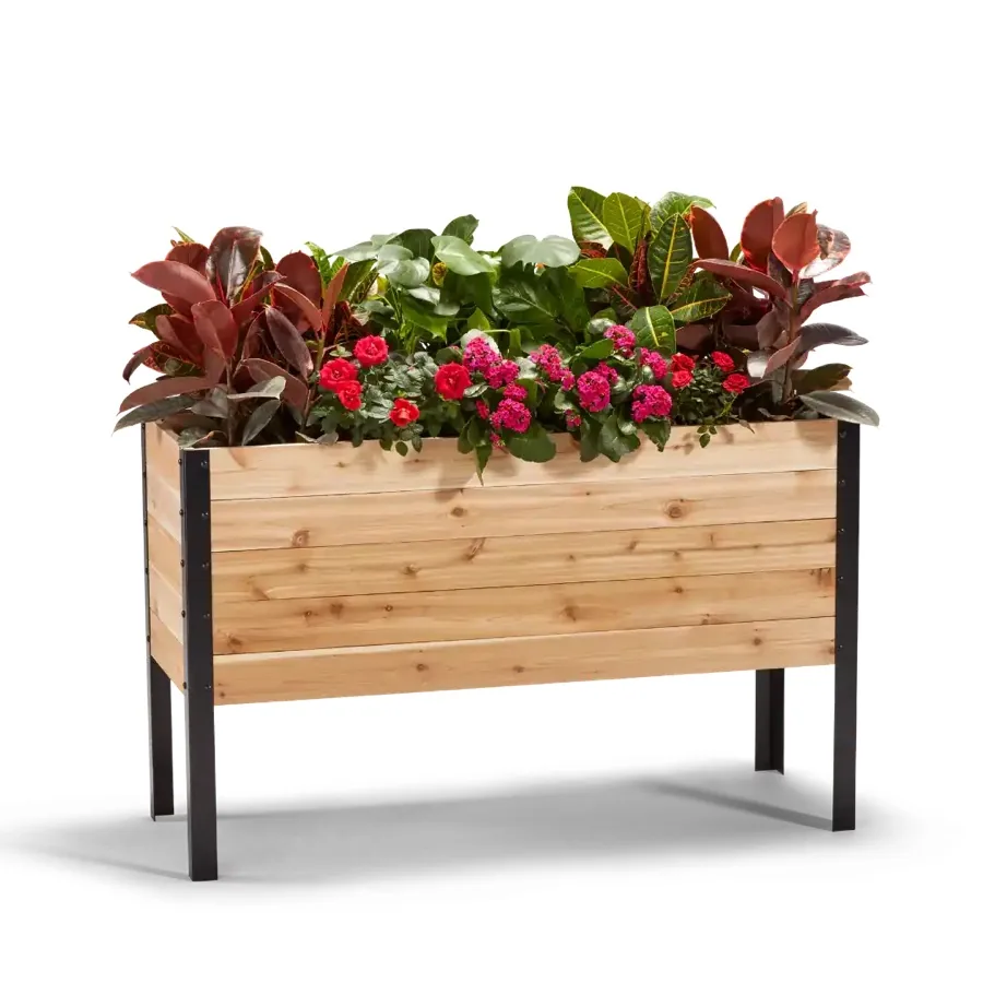 18 by 48 inch raised cedar garden bed, 30 inches tall, planted with flowers and vegetables
