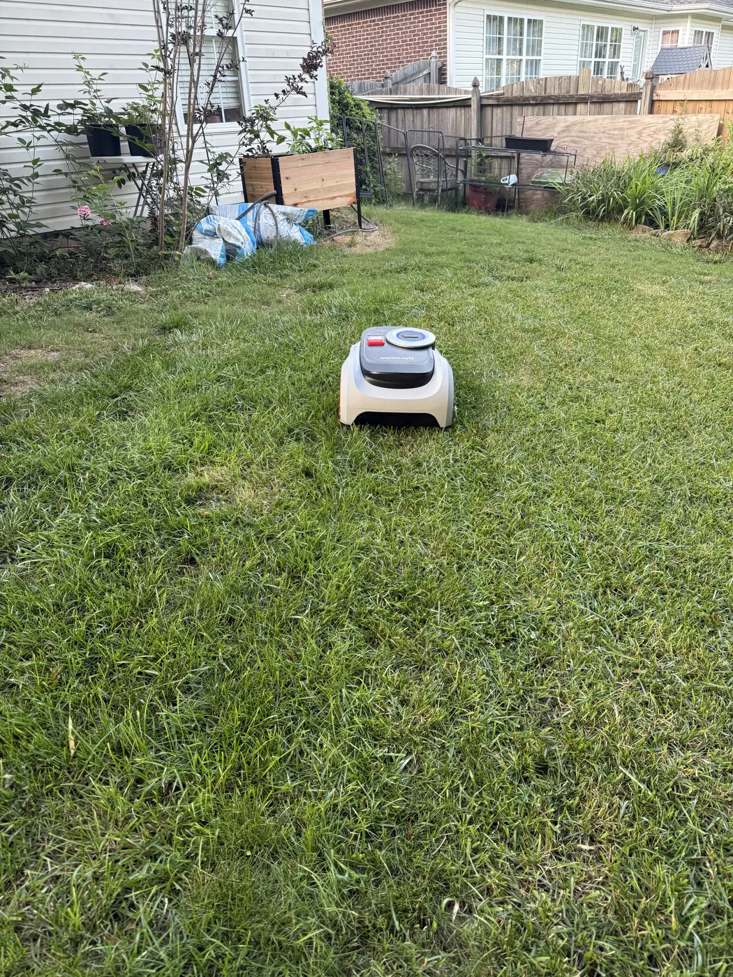 Segway Navimow i215 LiDAR robotic mower working a residential back lawn at dusk, with the house, wooden privacy fence and planting beds visible behind it
