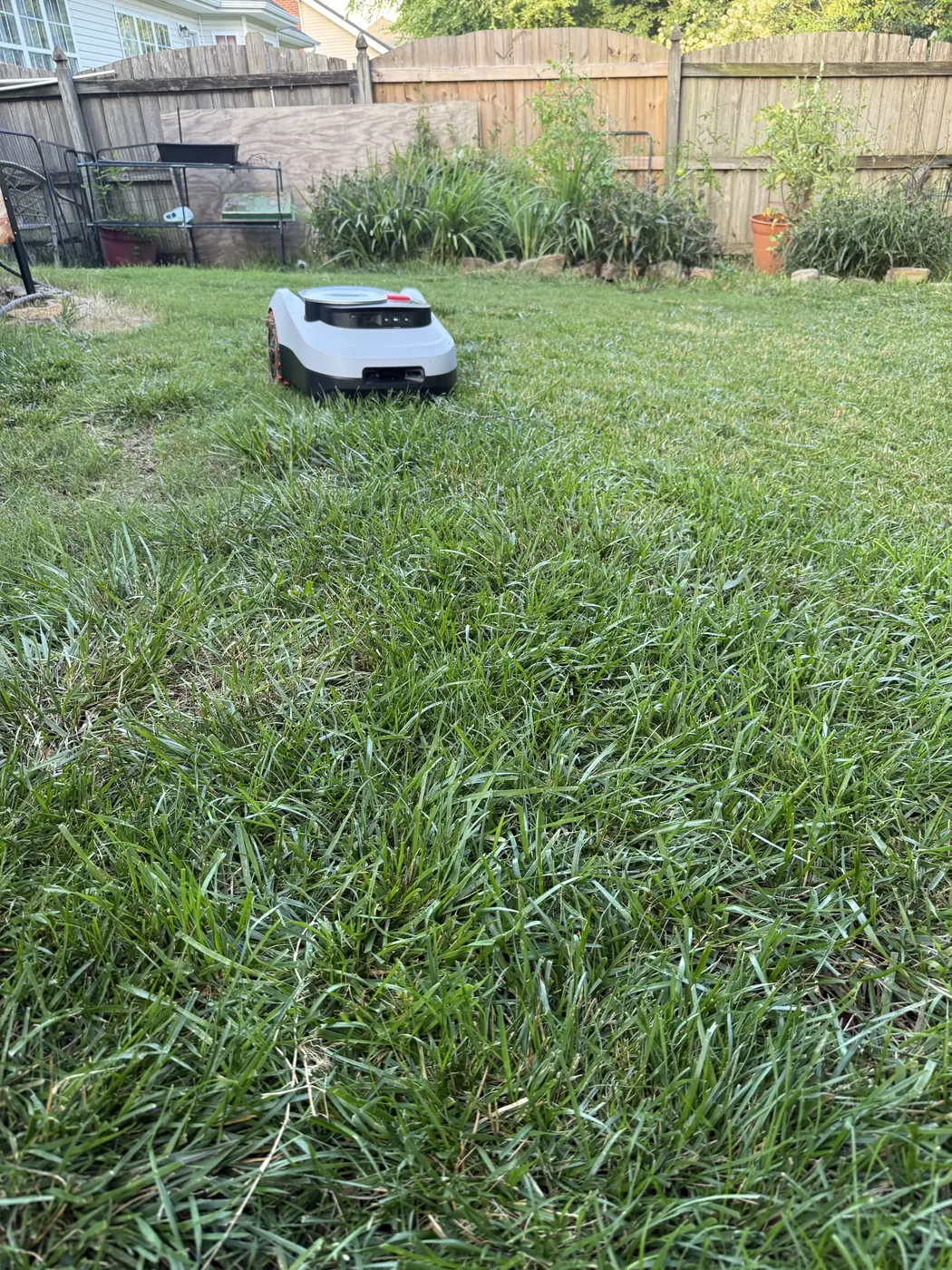Navimow i215 LiDAR mid-cut in the middle of a residential back lawn in evening light, with a wooden deck, fencing and garden furniture behind it and a visible contrast between cut and uncut grass