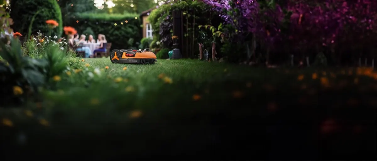 Worx Landroid in landscape on residential lawn