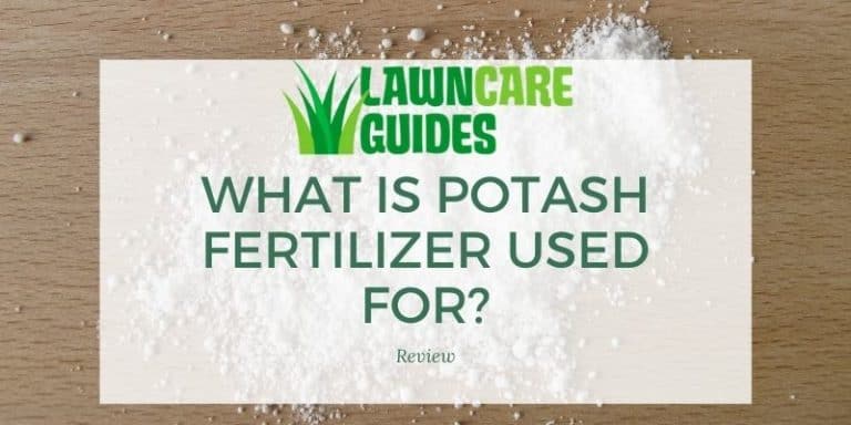 What Is Potash & How to Make Potash Fertilizer
