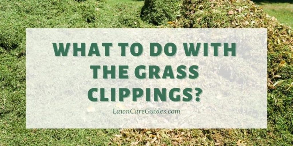 What to do with the grass clippings?