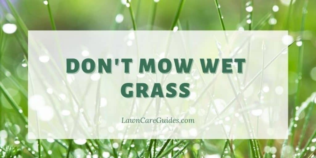 don't mow wet grass