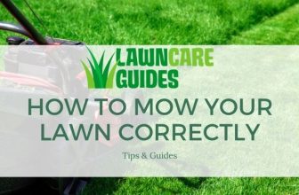 how to mow your lawn correctly