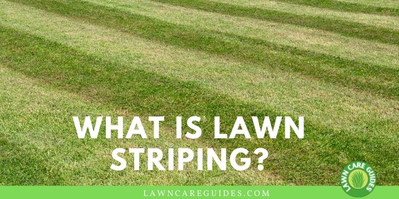 what is lawn striping?