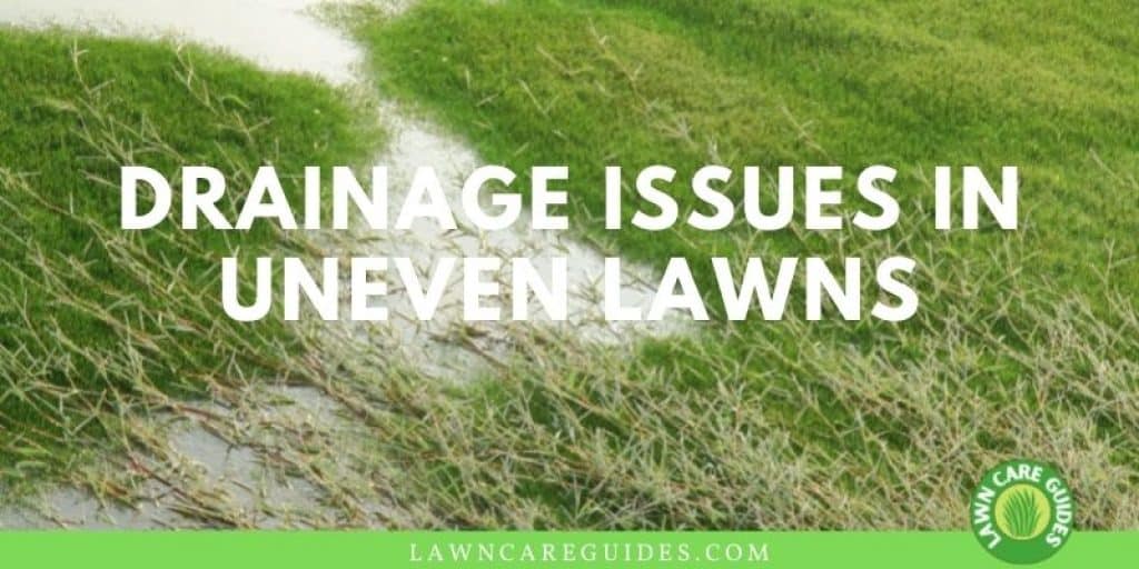 Drainage Issues In Uneven Lawns