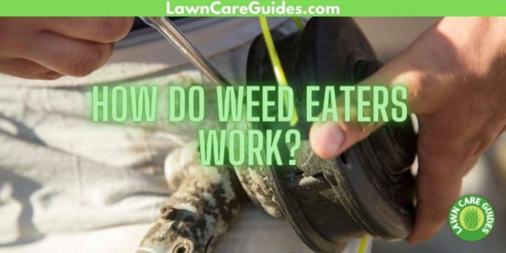 how do weed eaters work?