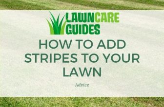 how to add stripes to your lawn