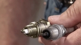 Should A Lawn Mower Spark Plug Be Wet?
