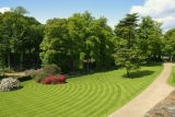 The Best Lawn Mower For Stripes + Striping Kit Reviews