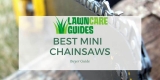 Best Mini Chainsaw of 2021 [Reviews & Buying Guide]