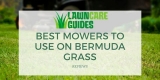 Best Lawn Mowers for Bermuda Grass: Reviews + Buying Guide