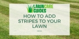 How to Add Stripes to Your Lawn – Your Complete Lawn Striping Guide